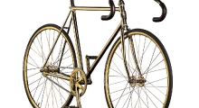 Kaley_Bike_in_full_45